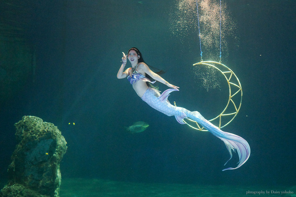 花蓮遠雄海洋公園露營車｜藍鯨艙海景露營車，海洋夜未眠升級版