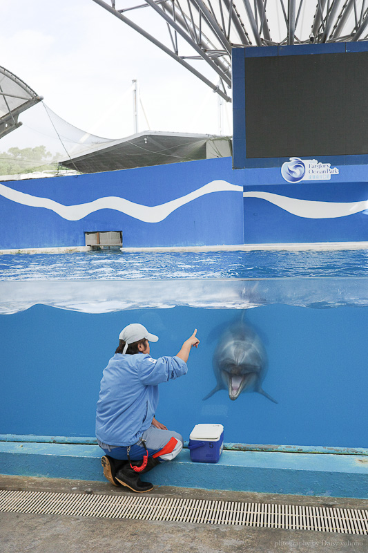花蓮遠雄海洋公園露營車｜藍鯨艙海景露營車，海洋夜未眠升級版