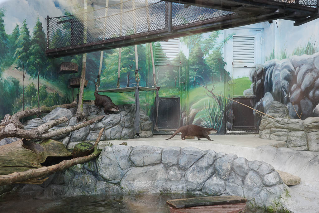 花蓮遠雄海洋公園露營車｜藍鯨艙海景露營車，海洋夜未眠升級版