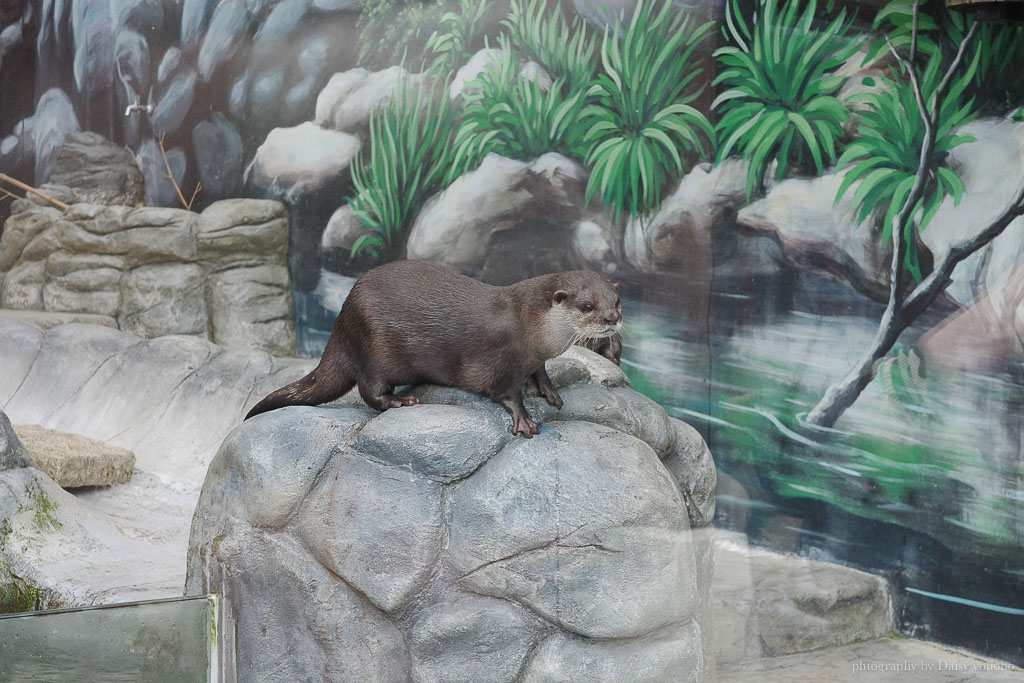 花蓮遠雄海洋公園露營車｜藍鯨艙海景露營車，海洋夜未眠升級版