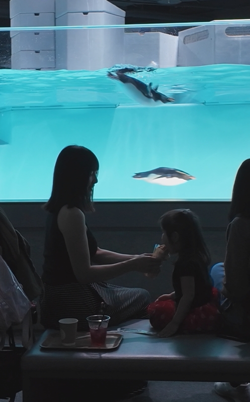 北海道札幌水族館 AOAO Sapporo